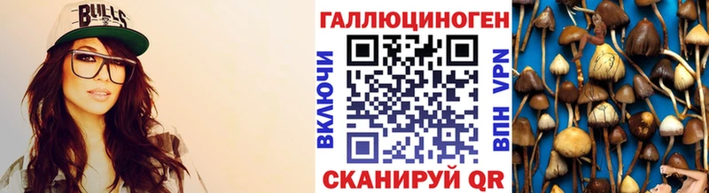 Псилоцибиновые грибы прущие грибы  даркнет сайт  Слюдянка 